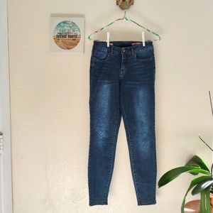 ABS Allen Schwartz 💜 Denim Skinny Jean Dark‎ Stone